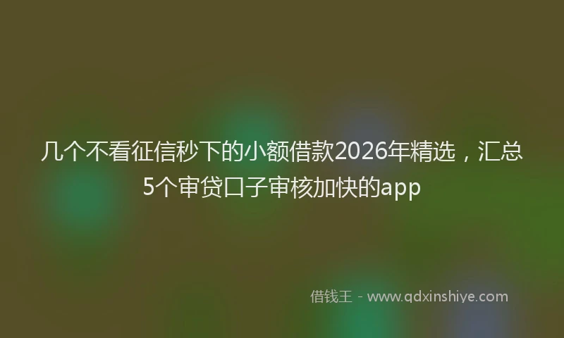 几个不看征信秒下的小额借款2026年精选，汇总5个审贷口子审核加快的app