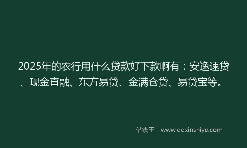 2025年的农行用什么贷款好下款啊有：安逸速贷、现金直融、东方易贷、金满仓贷、易贷宝等。
