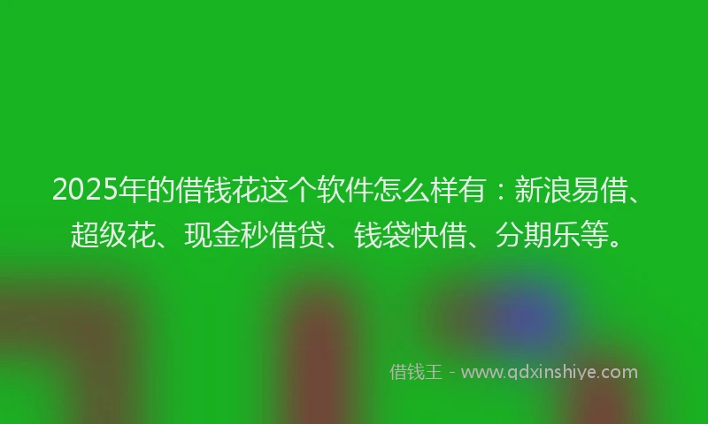 2025年的借钱花这个软件怎么样有：新浪易借、超级花、现金秒借贷、钱袋快借、分期乐等。