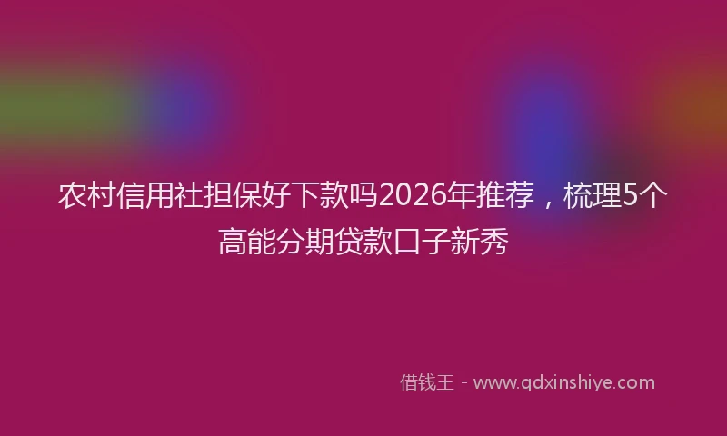 农村信用社担保好下款吗2026年推荐，梳理5个高能分期贷款口子新秀