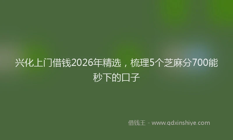 兴化上门借钱2026年精选，梳理5个芝麻分700能秒下的口子