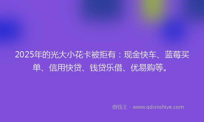 2025年的光大小花卡被拒有：现金快车、蓝莓买单、信用快贷、钱贷乐借、优易购等。