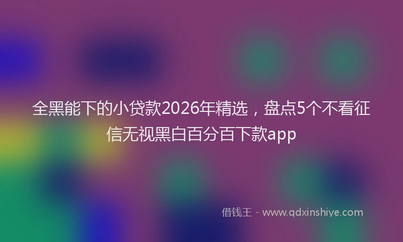 全黑能下的小贷款2026年精选,盘点5个不看征信无视黑白百分百下款app