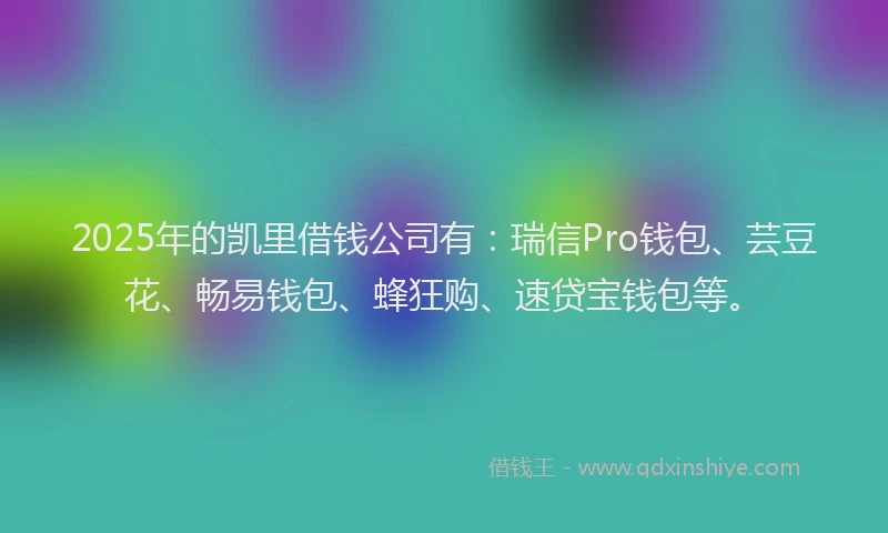 2025年的凯里借钱公司有：瑞信Pro钱包、芸豆花、畅易钱包、蜂狂购、速贷宝钱包等。