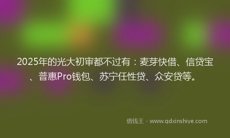 2025年的光大初审都不过有：麦芽快借、信贷宝、普惠Pro钱包、苏宁任性贷、众安贷等。