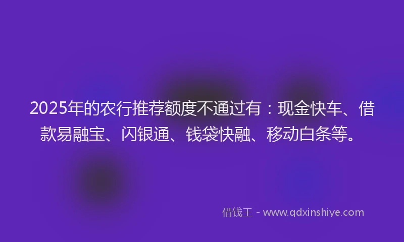 2025年的农行推荐额度不通过有：现金快车、借款易融宝、闪银通、钱袋快融、移动白条等。
