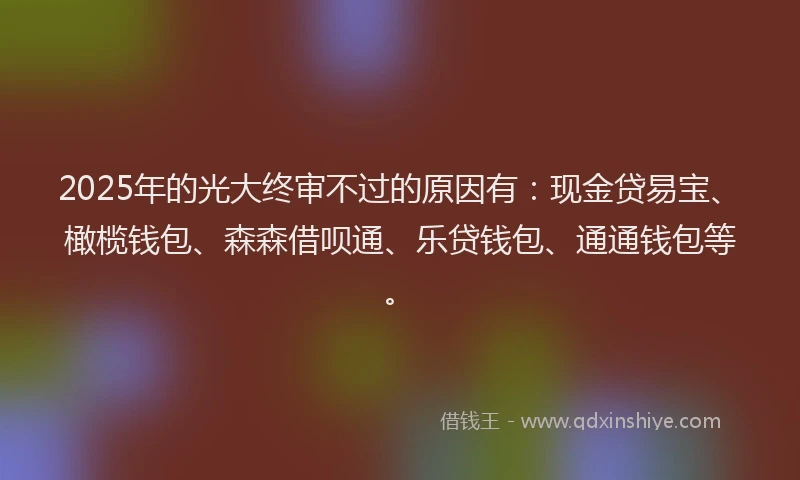 2025年的光大终审不过的原因有：现金贷易宝、橄榄钱包、森森借呗通、乐贷钱包、通通钱包等。