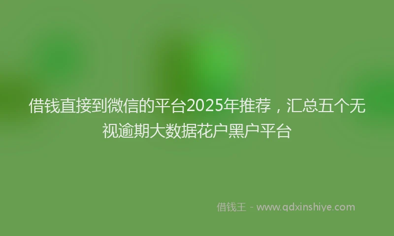 借钱直接到微信的平台2025年推荐，汇总五个无视逾期大数据花户黑户平台