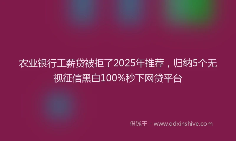 农业银行工薪贷被拒了2025年推荐，归纳5个无视征信黑白100%秒下网贷平台