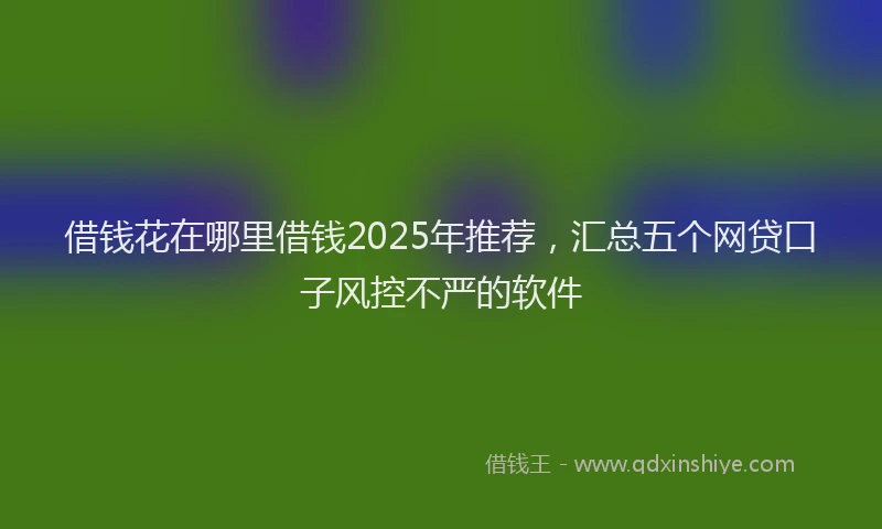 借钱花在哪里借钱2025年推荐，汇总五个网贷口子风控不严的软件