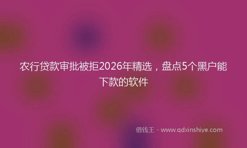 农行贷款审批被拒2026年精选，盘点5个黑户能下款的软件