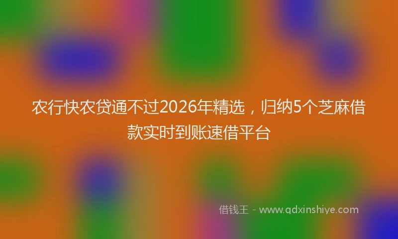 农行快农贷通不过2026年精选，归纳5个芝麻借款实时到账速借平台