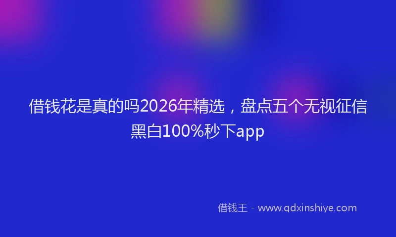 借钱花是真的吗2026年精选,盘点五个无视征信黑白100%秒下app