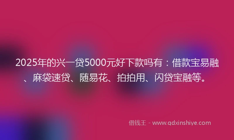 2025年的兴一贷5000元好下款吗有:借款宝易融、麻袋速贷、随易花、拍拍用、闪贷宝融等。