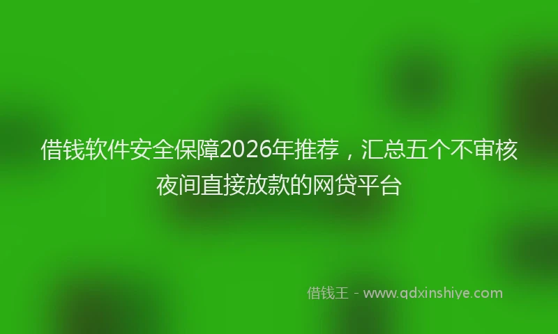 借钱软件安全保障2026年推荐，汇总五个不审核夜间直接放款的网贷平台