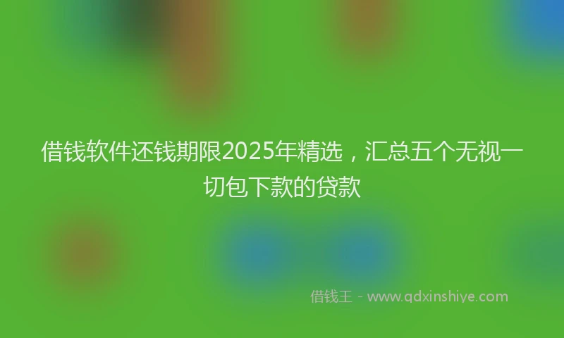 借钱软件还钱期限2025年精选，汇总五个无视一切包下款的贷款