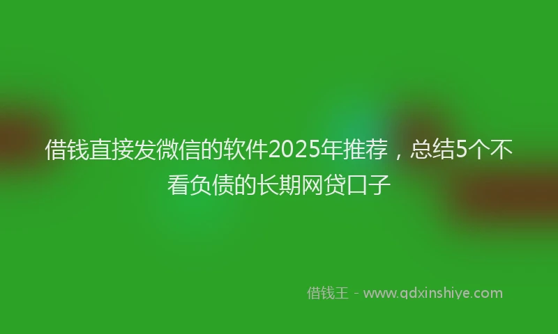 借钱直接发微信的软件2025年推荐，总结5个不看负债的长期网贷口子