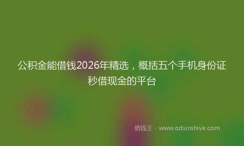 公积金能借钱2026年精选，概括五个手机身份证秒借现金的平台