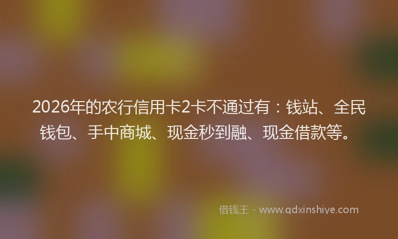 2026年的农行信用卡2卡不通过有:钱站、全民钱包、手中商城、现金秒到融、现金借款等。