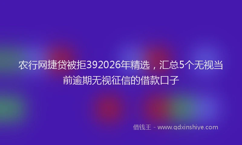 农行网捷贷被拒392026年精选，汇总5个无视当前逾期无视征信的借款口子