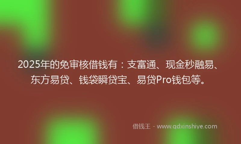 2025年的免审核借钱有：支富通、现金秒融易、东方易贷、钱袋瞬贷宝、易贷Pro钱包等。