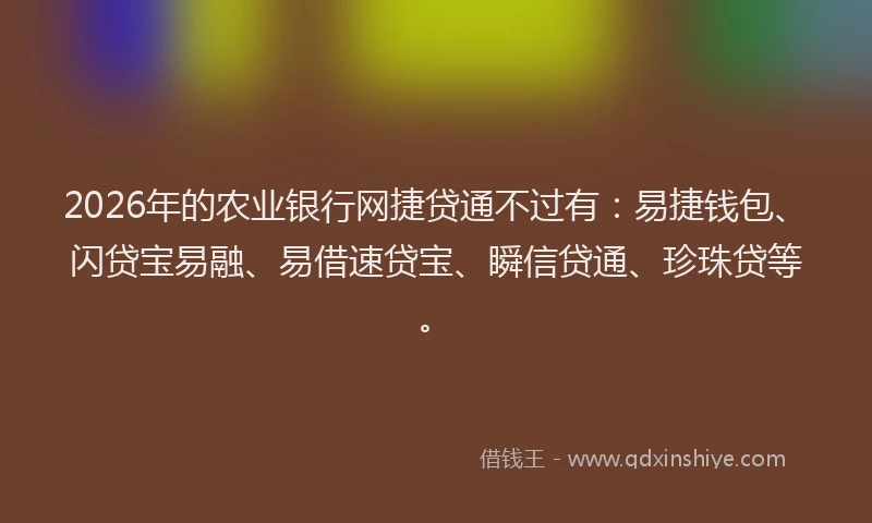 2026年的农业银行网捷贷通不过有：易捷钱包、闪贷宝易融、易借速贷宝、瞬信贷通、珍珠贷等。