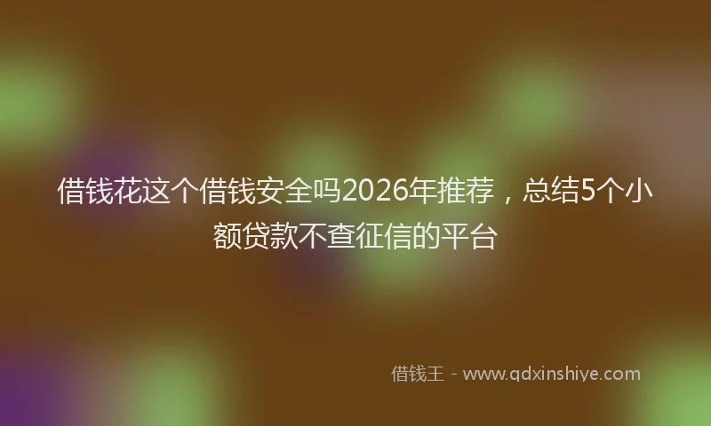 借钱花这个借钱安全吗2026年推荐，总结5个小额贷款不查征信的平台