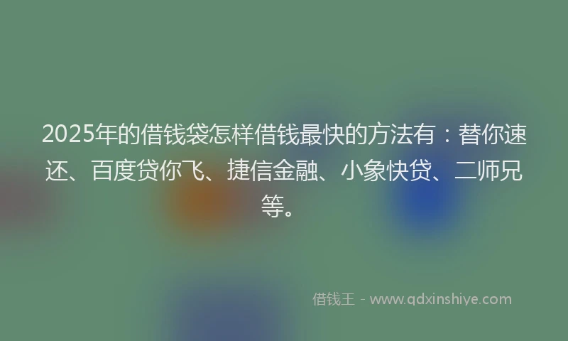 2025年的借钱袋怎样借钱最快的方法有：替你速还、百度贷你飞、捷信金融、小象快贷、二师兄等。