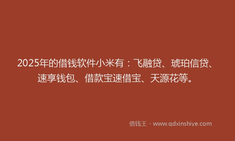 2025年的借钱软件小米有:飞融贷、琥珀信贷、速享钱包、借款宝速借宝、天源花等。