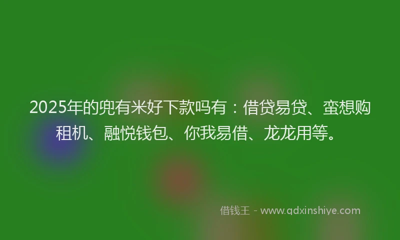 2025年的兜有米好下款吗有：借贷易贷、蛮想购租机、融悦钱包、你我易借、龙龙用等。