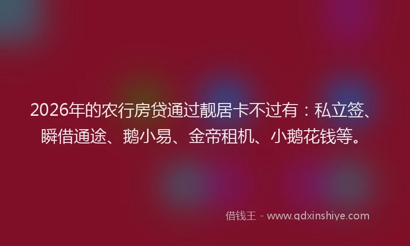 2026年的农行房贷通过靓居卡不过有：私立签、瞬借通途、鹅小易、金帝租机、小鹅花钱等。