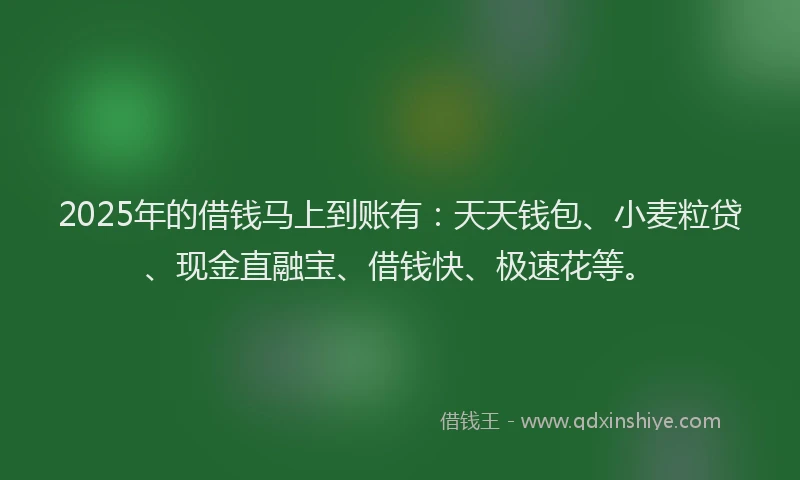 2025年的借钱马上到账有:天天钱包、小麦粒贷、现金直融宝、借钱快、极速花等。