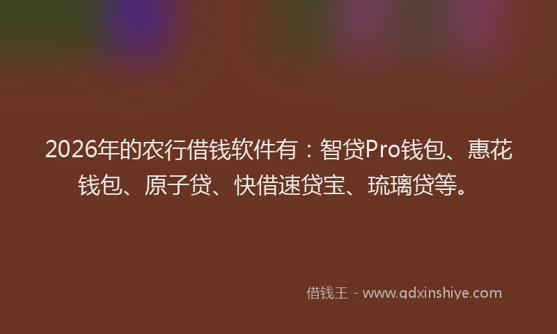 2026年的农行借钱软件有：智贷Pro钱包、惠花钱包、原子贷、快借速贷宝、琉璃贷等。