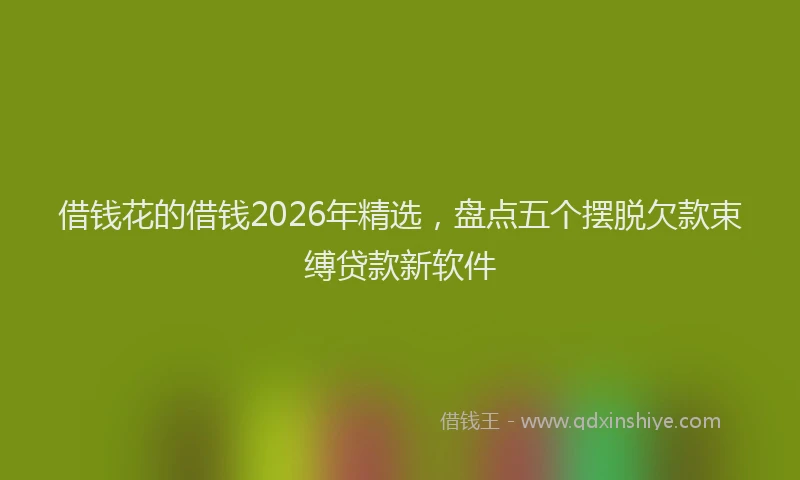 借钱花的借钱2026年精选，盘点五个摆脱欠款束缚贷款新软件