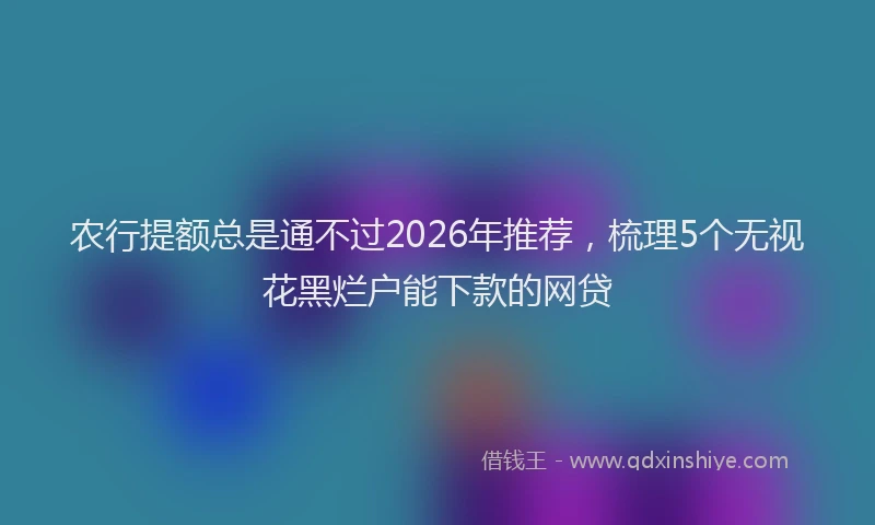 农行提额总是通不过2026年推荐，梳理5个无视花黑烂户能下款的网贷