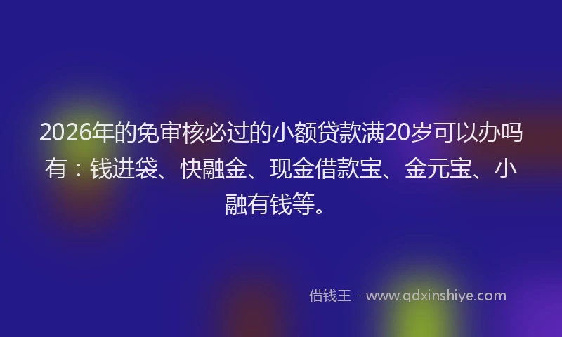 2026年的免审核必过的小额贷款满20岁可以办吗有：钱进袋、快融金、现金借款宝、金元宝、小融有钱等。