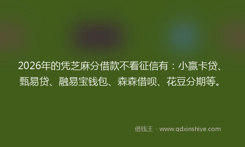 2026年的凭芝麻分借款不看征信有：小赢卡贷、甄易贷、融易宝钱包、森森借呗、花豆分期等。