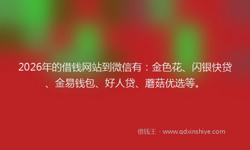 2026年的借钱网站到微信有：金色花、闪银快贷、金易钱包、好人贷、蘑菇优选等。