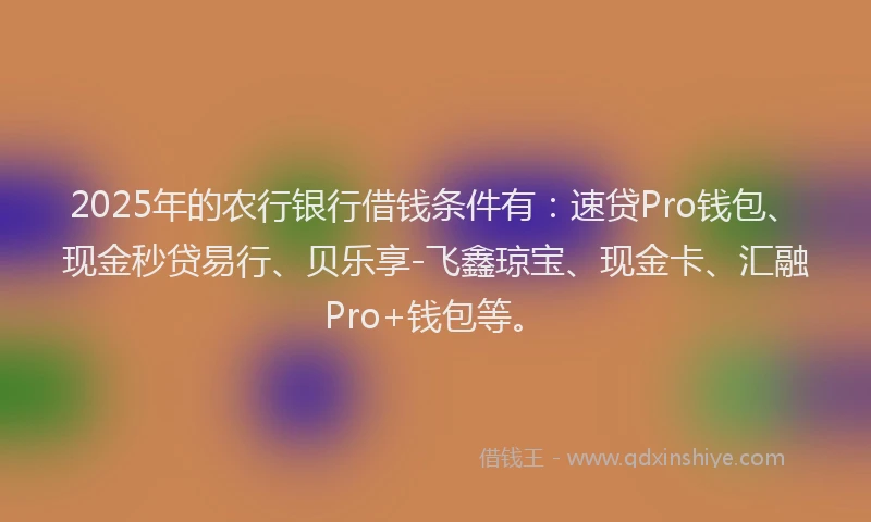 2025年的农行银行借钱条件有：速贷Pro钱包、现金秒贷易行、贝乐享-飞鑫琼宝、现金卡、汇融Pro+钱包等。