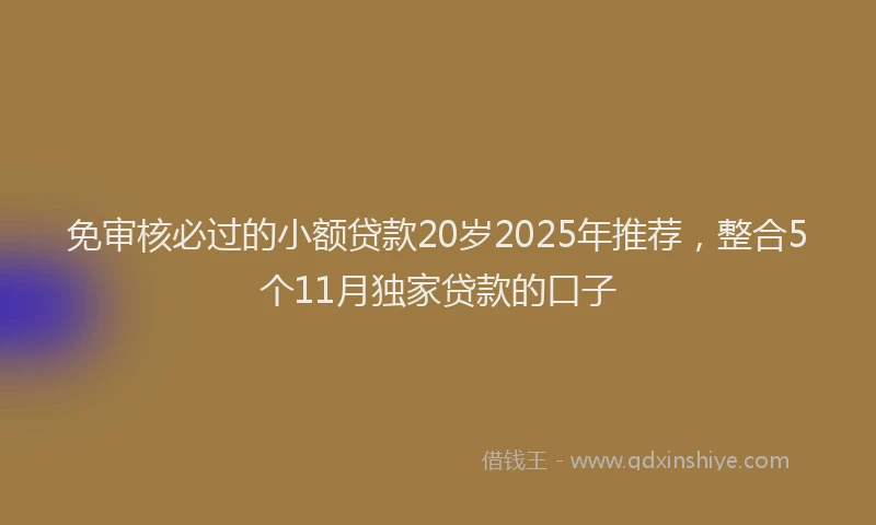 免审核必过的小额贷款20岁2025年推荐，整合5个11月独家贷款的口子