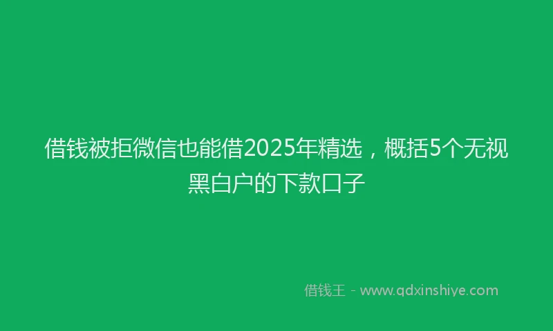 借钱被拒微信也能借2025年精选，概括5个无视黑白户的下款口子