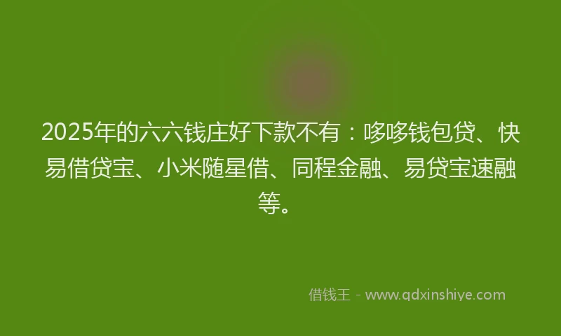 2025年的六六钱庄好下款不有：哆哆钱包贷、快易借贷宝、小米随星借、同程金融、易贷宝速融等。