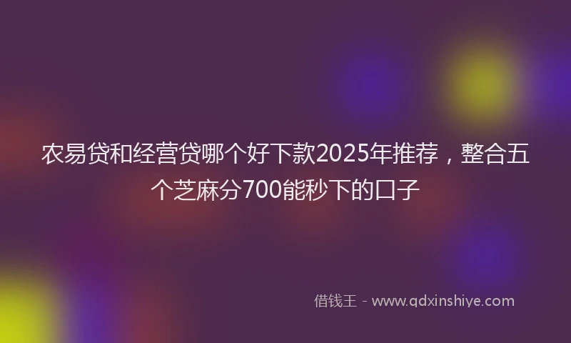 农易贷和经营贷哪个好下款2025年推荐，整合五个芝麻分700能秒下的口子