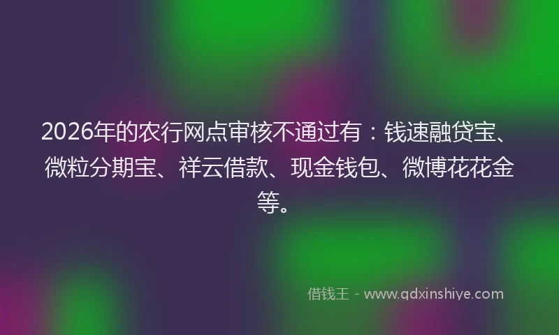 2026年的农行网点审核不通过有：钱速融贷宝、微粒分期宝、祥云借款、现金钱包、微博花花金等。