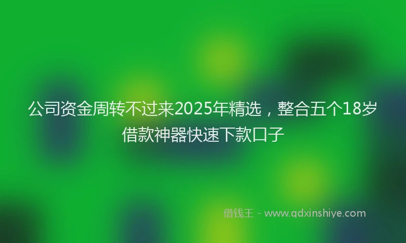 公司资金周转不过来2025年精选，整合五个18岁借款神器快速下款口子