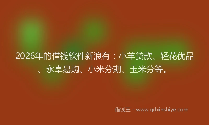 2026年的借钱软件新浪有：小羊贷款、轻花优品、永卓易购、小米分期、玉米分等。