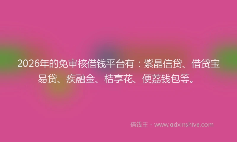 2026年的免审核借钱平台有：紫晶信贷、借贷宝易贷、疾融金、桔享花、便荔钱包等。