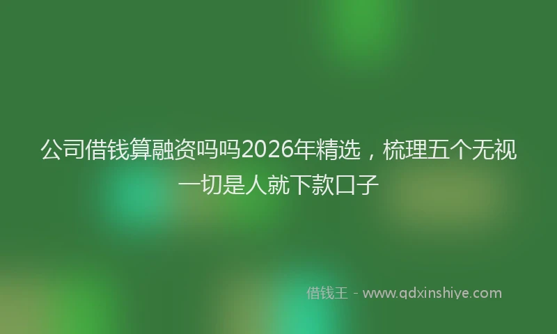 公司借钱算融资吗吗2026年精选，梳理五个无视一切是人就下款口子