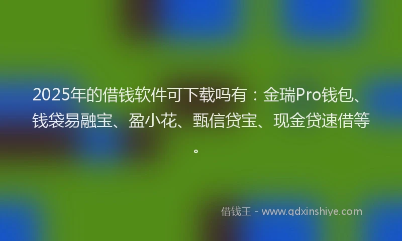 2025年的借钱软件可下载吗有：金瑞Pro钱包、钱袋易融宝、盈小花、甄信贷宝、现金贷速借等。