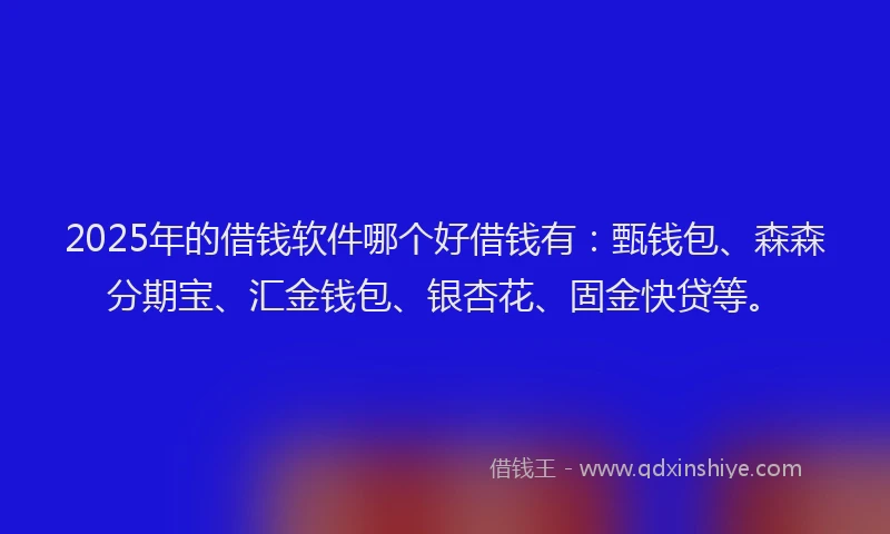 2025年的借钱软件哪个好借钱有：甄钱包、森森分期宝、汇金钱包、银杏花、固金快贷等。